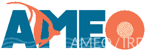 Logo AMEO sans texte