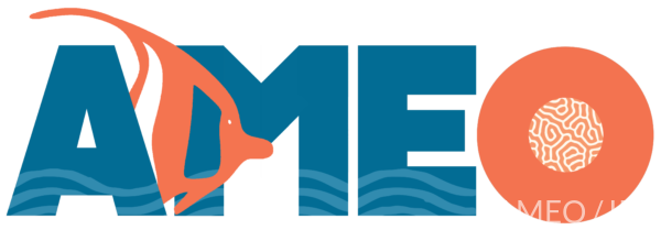 Logo AMEO