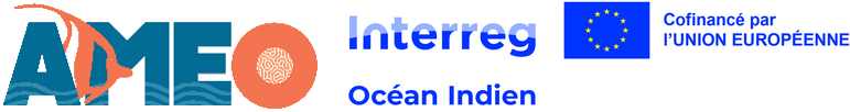 Logo AMEO et Interreg Océan Indien
